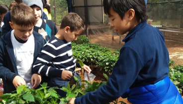 Saidas pedagogicas 08