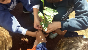 Saidas pedagogicas 11