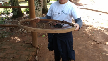 Saidas pedagogicas 12